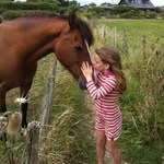 Connie Hogan - @conniiehogann - Instagram