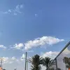 connieholman51 - @connieholman51 - TikTok