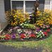 Connie Holmes - Facebook