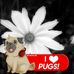 Connie Holmes - Facebook