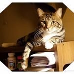 Connie Holmes - @stormie64_ - Instagram