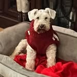 Connie Holt-huber - @connieholthuber - Instagram