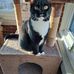 Connie Horton - Facebook