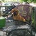 Connie Horton - Facebook