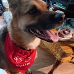 Connie Hubbard - @conniehubbard2226 - Instagram