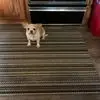Connie Huff - @connie.huff1 - TikTok
