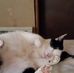 Connie Huff - Facebook