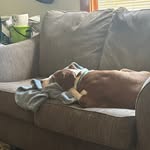 Connie Huff - @conniehuff83 - Instagram
