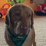 Connie Hurst - @connie.hurst51 - Instagram