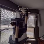 Connie Irving Erbe - @connieirvingerbe - Instagram