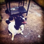 Connie Ives - @connieives363 - Instagram