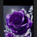 Connie Jaeger - Facebook