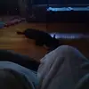 Connie Jaeger - @connie.jaeger4 - TikTok