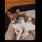 Connie James - Facebook