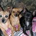 Connie Fitch Kellogg - Facebook