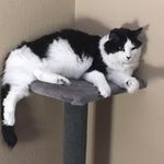 Connie Kellogg - @conniehoneybunny - Instagram
