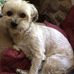 Connie Kellogg - Facebook