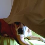 Connie Kidwell - @conniekidwell - Instagram