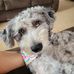 Connie Kidwell Culbert - Facebook