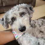 Connie Kidwell Culbert - @conniekidwellculbert - Instagram