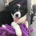 Connie Kirkman - Facebook