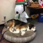 Connie Knapp - @connie.knapp.98 - Instagram