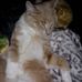 Connie Knapp - Facebook