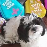 Connie Knapp Tremblay - @connietremblay - Instagram