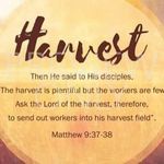 Connie Kopf - @lighthouse49130 - Instagram