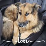Connie McKeown Kopf - @conniekopf - Instagram