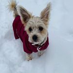 Connie Kramer - @cawnkramer - Instagram