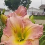 Connie Kramer - Facebook