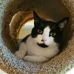 Connie Kramer Zimmerman - @conniekramerzimmerman - Instagram