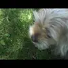 conniekramer8 - @conniekramer8 - TikTok