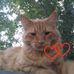 Connie Lackey - Facebook