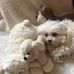 Connie Lampen - Facebook