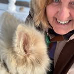 Connie Lefebvre - @connielefebvre3 - Instagram