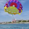 Connie Lefevere - @connie.lefevere - TikTok