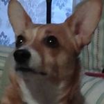 Connie Leffler - @connie.leffler.3 - Instagram