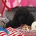 Connie Leffler - Facebook