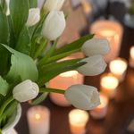 Connie P. Leffler - @cjtlien - Instagram