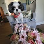 Connie Legath - @macika0521 - Instagram