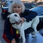Connie Lehman - @tarotlifecards - Instagram