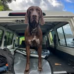 Connie Leimbach - @themoosestar - Instagram