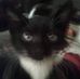 Connie Leinonen - Facebook