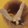 Connie_Leeland - @connie_c_ - TikTok