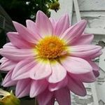 Connie Lemaster - @lemasterconnie - Instagram