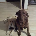 Connie Lemaster - @connie.lemaster.940 - Instagram