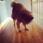 Connie Lemieux - @xansalloq - Instagram