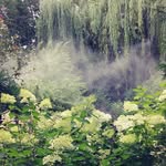 Connie Fleming - @conniefleming6379 - Instagram